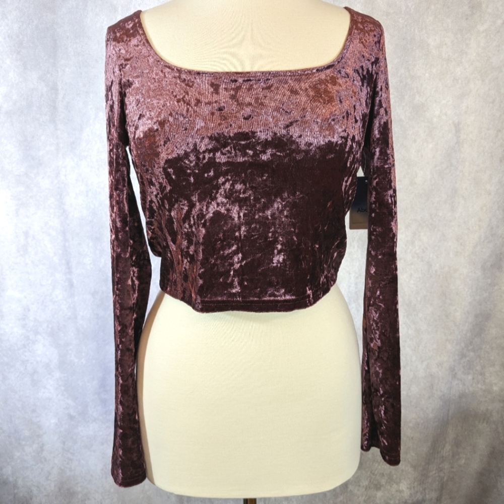 Nordstrom Abound Purple Crushed Velvet L/S Scoop Neck Crop Top Size M NWT